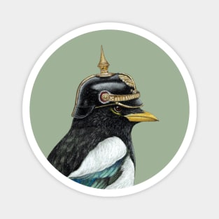 Yellow-billed magpie Magnet